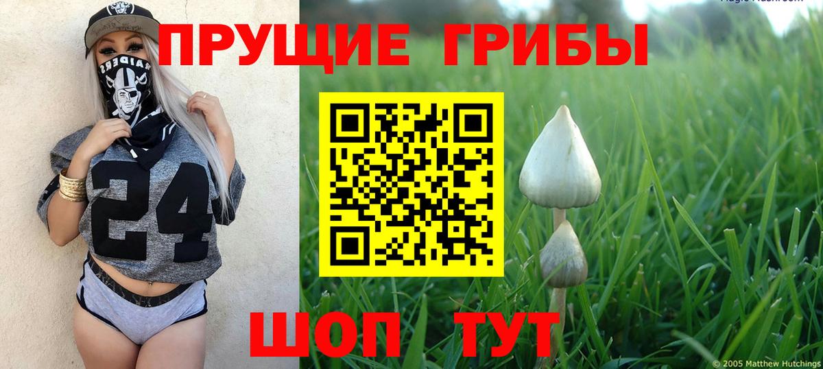 Псилоцибиновые грибы мухоморы  Вход с VPN  Торжок  Псилоцибиновые грибы Magic Shrooms 
